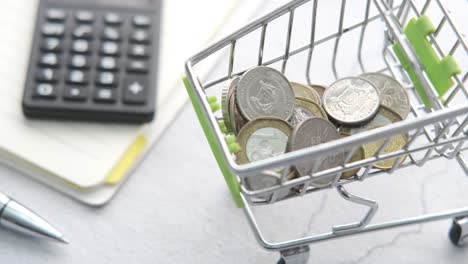 coins in a shopping cart - budget and finance concept