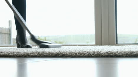 woman using the vacuum cleaner