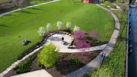 árboles de primavera que florecen en el parque urbano de la ciudad drone
