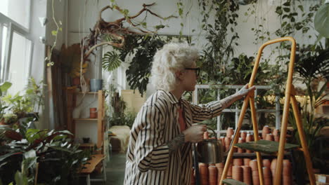 mulher regando plantas em uma loja de flores