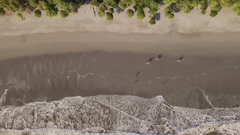 Imágenes-Aéreas-De-Un-Tranquilo-Paseo-A-Caballo-Por-La-Playa-De-Manuel-Antonio-Durante-La-Vibrante-Puesta-De-Sol