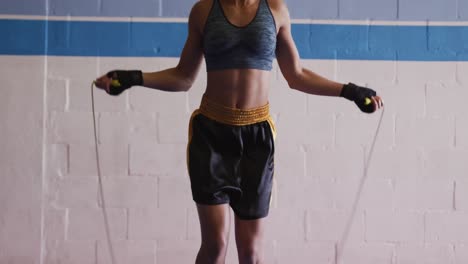 Mujer-De-Raza-Mixta-Trabajando-En-El-Gimnasio-De-Boxeo