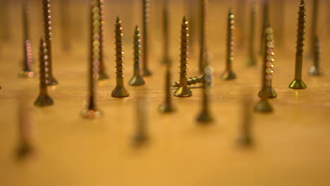 closeup of hundreds of screws standing upright in group, slide right