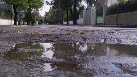 vista baja, tiro inclinado hacia arriba del estanque de agua de lluvia, revelando una calle vacía con árboles 4k