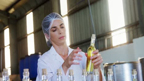 technician examining olive oil 4k