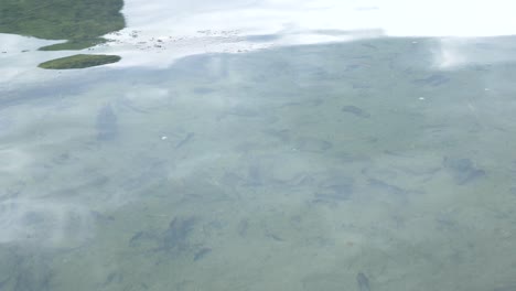 serene water reflections in krabi, thailand