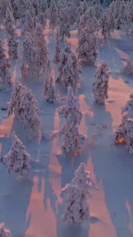 aerial portrait over snowy trees, revealing the sun above fells, winter in lapland