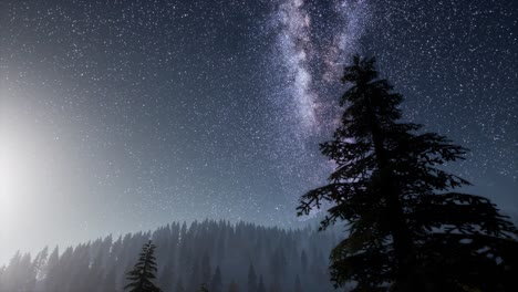 Milky-Way-stars-with-moonlight-above-pine-trees-forest