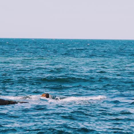 amazing view of blue sea water. waves moving and breaking on pier. beautiful atmosphere of nature seascape in daytime.