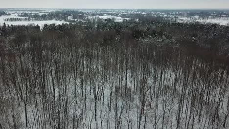 Ariel-footage-of-trees-and-snow