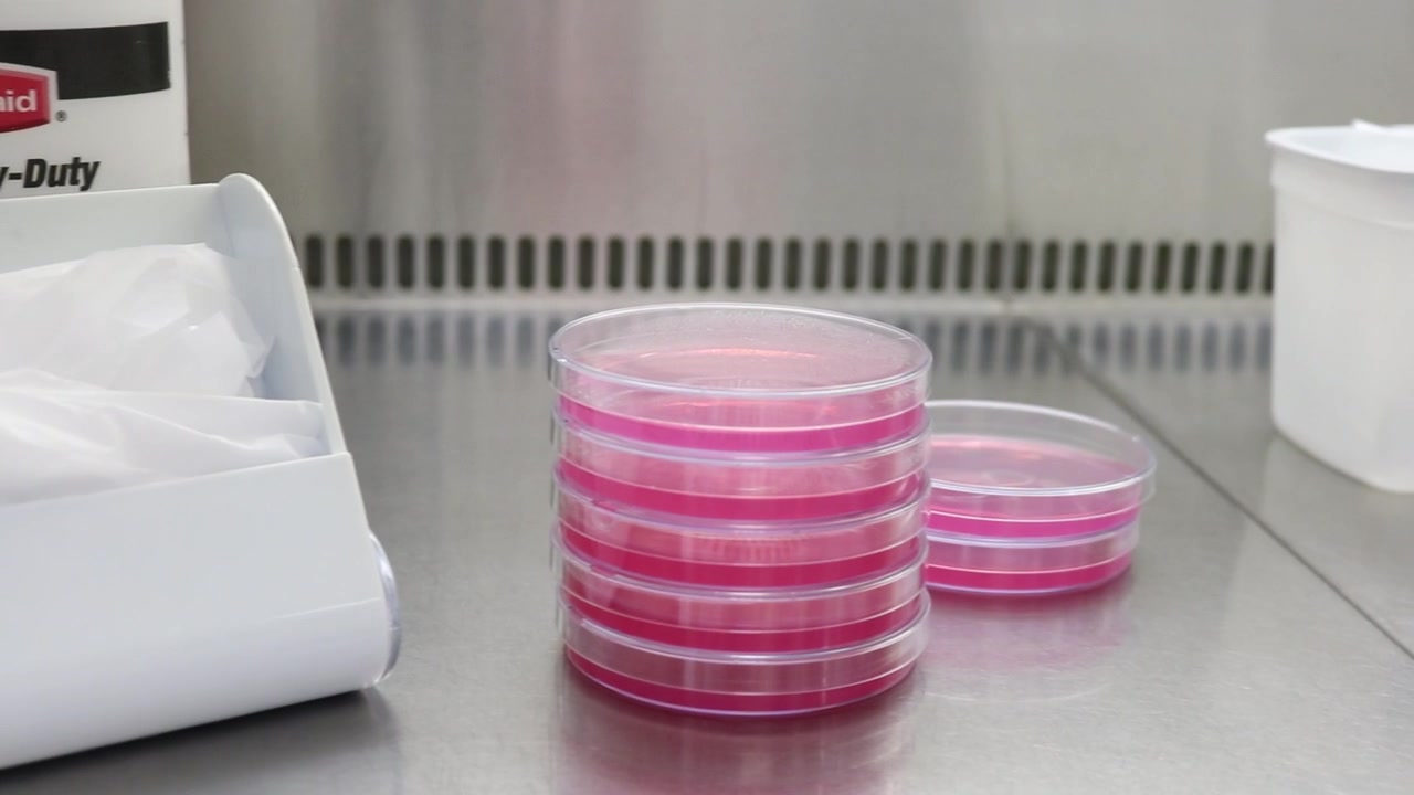 Uno sguardo alla scrivania di un laboratorio di controllo qualità. Filmato FHD
