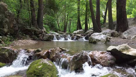 river flowing naturally in the middle of the mountains and surrounded by large trees with little depth and you can see the rocks around it with the water coming out of a basin