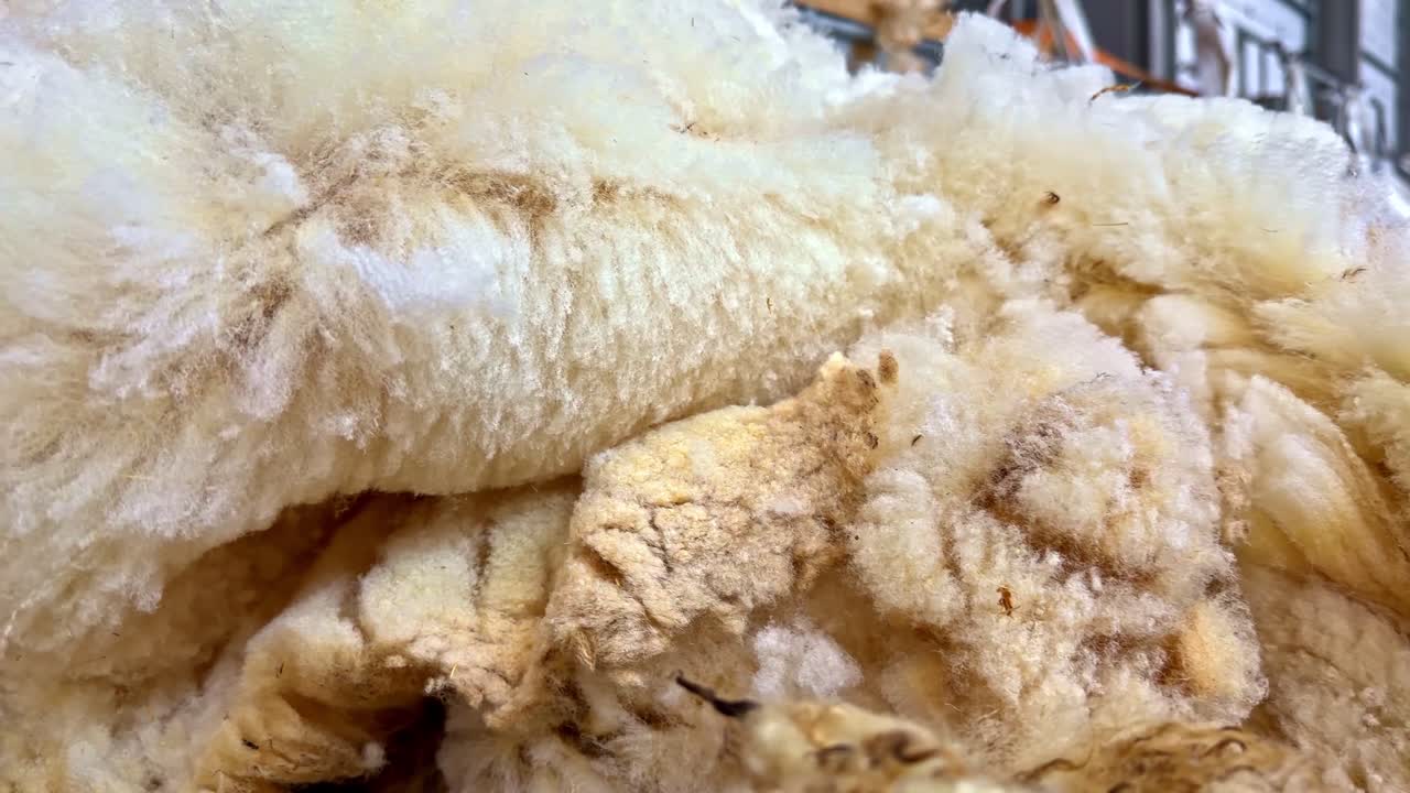 Nærbillede af rå, luftig uldfiber på en tekstilfabrik