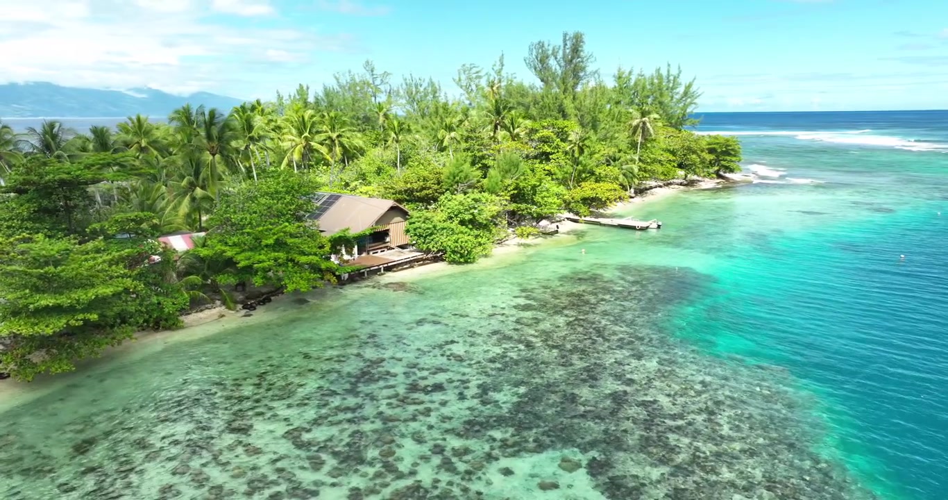 Hut surrounded by jungle on French Polynesia coast, turquoise sea, tropical paradise.