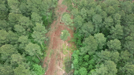 toma aérea de árboles talados por leñadores, limpiando un área para un nuevo vecindario