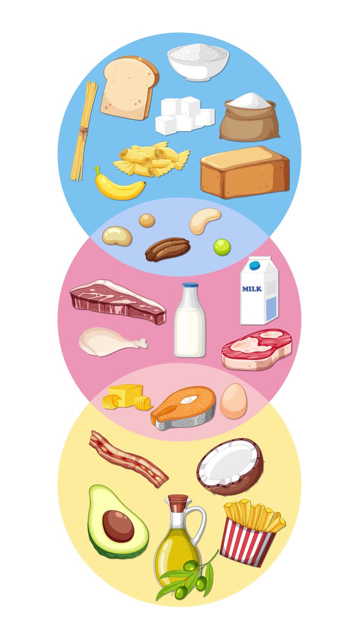 Sequência animada categorizando alimentos em carboidratos, proteínas e gorduras usando círculos vibrantes sobrepostos.