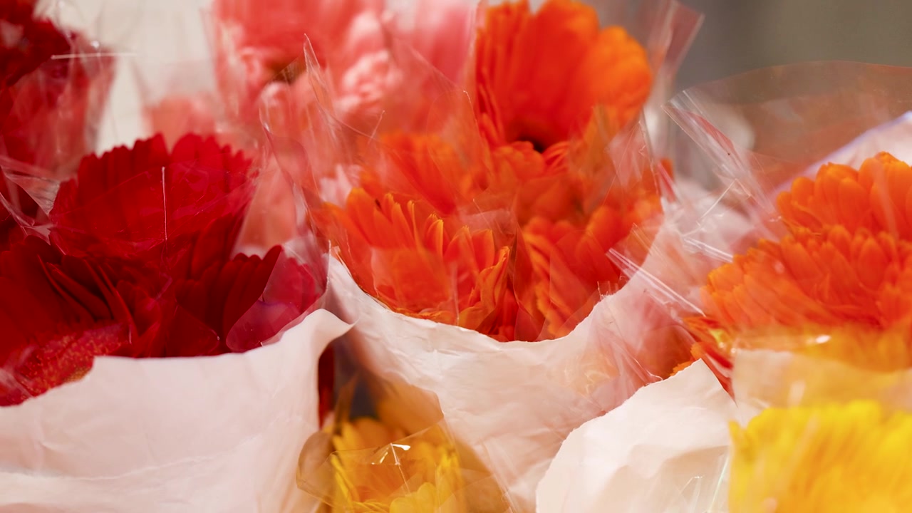 Bidikan close-up genggam bunga gerbera warna-warni yang dibungkus kertas di pasar terbuka.