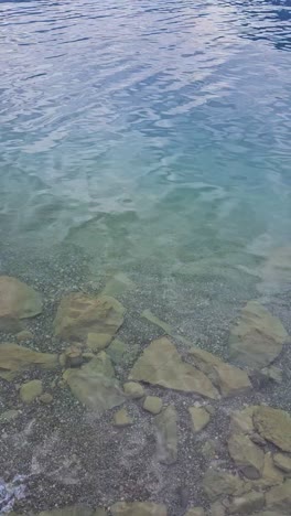 Panning-up-vertical-shot-of-clear-Swiss-lake-with-flowers-in-foreground-and-mountains-in-background