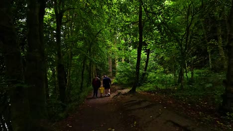 two people walking in lush green forest