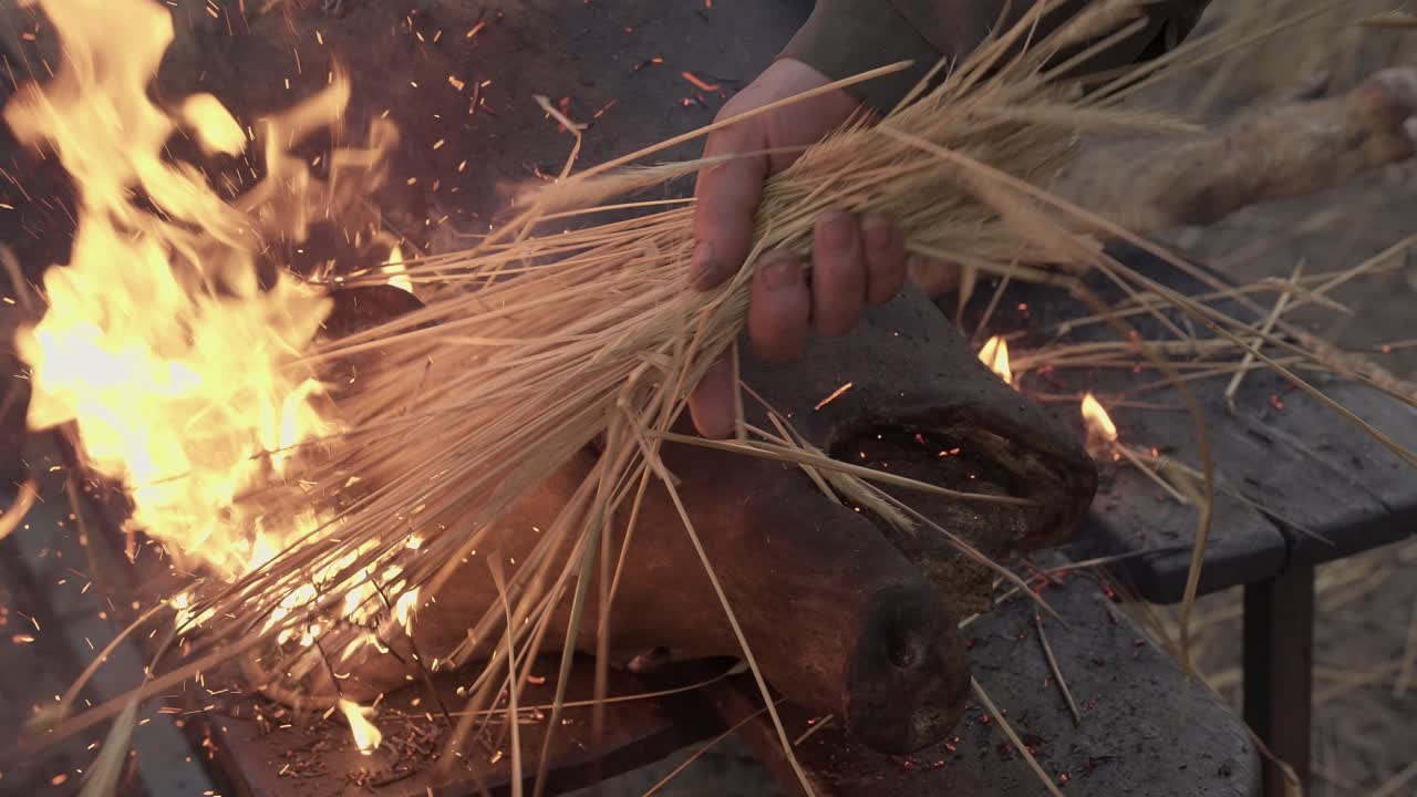 Straw fire burns pig snout during butchering tradition in Minho north Portugal - slow motion