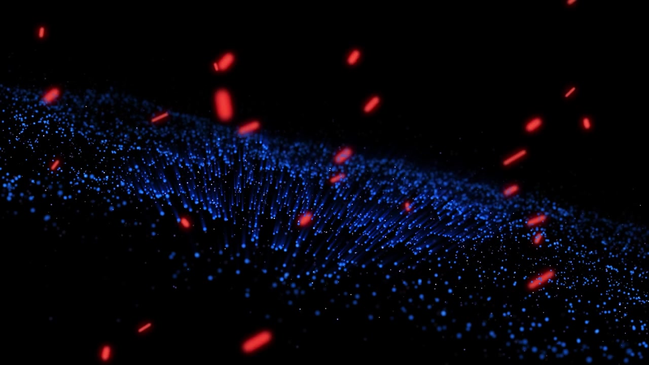 Animazione di punti luminosi rossi e blu su sfondo nero.