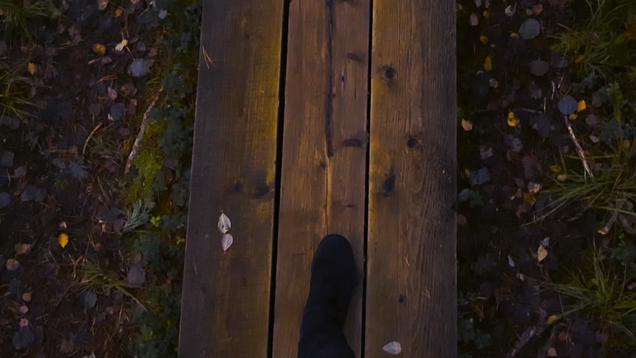Top down video of a person with black jeans and shoes or sneakers walking and hiking on a wooden brown and wet boardwalk in nature during autumn day with fallen yellow golden leaves around in the mud