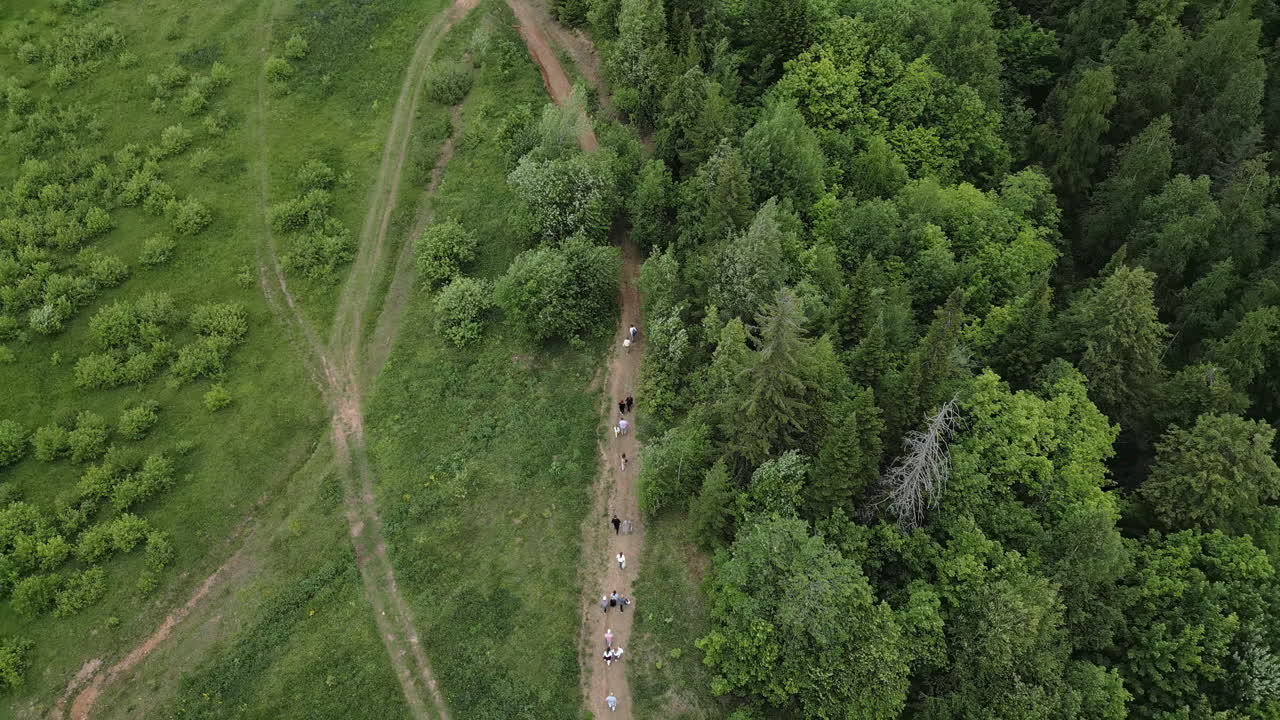vista aérea de personas caminando por un sendero a través del bosque
