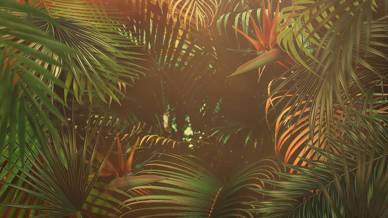 primer plano de hojas tropicales de árboles con fondo de verano 17