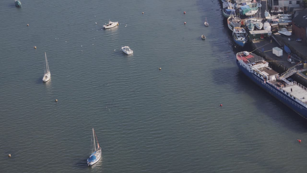 Aerial of a pod of dolphins playing in and around a busy marina and dock area