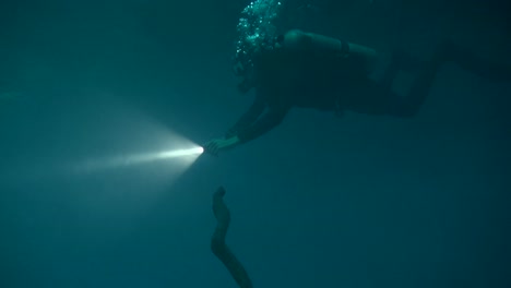 divers in cenote h2s layer