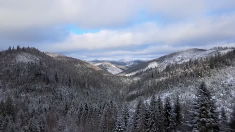 美麗的烏克蘭森林在雪山中