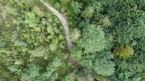 Familientrekking-Im-Tiefen-Wald-Der-Dolomiten,-Aussicht-Auf-Die-Luftbahn