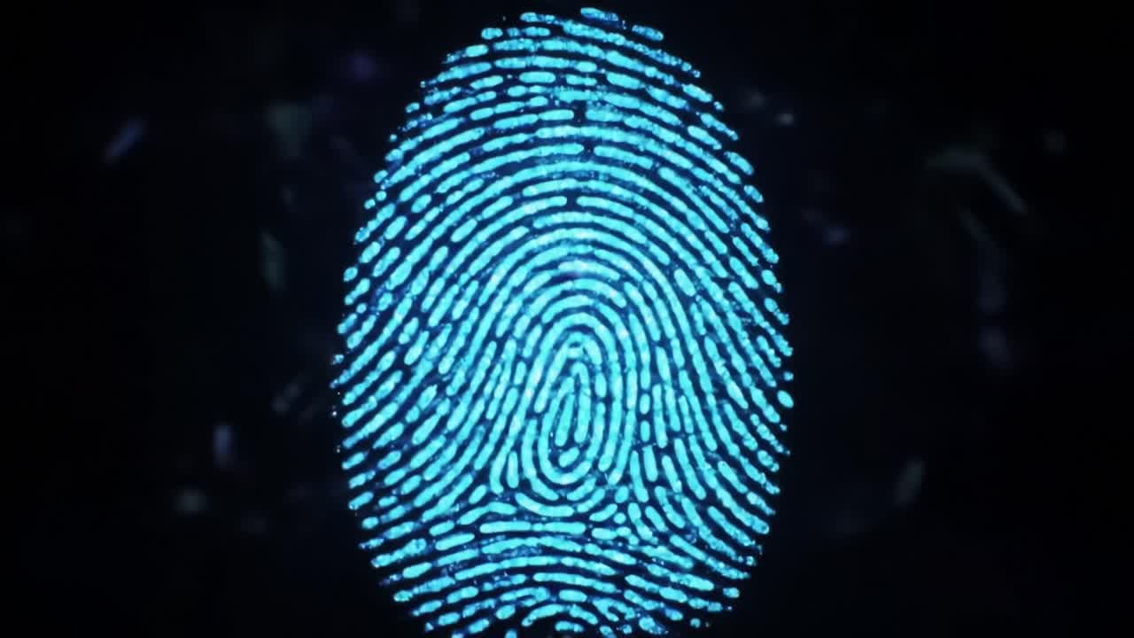 Digital fingerprint technology provides unique identification solutions for enhancing security measures.