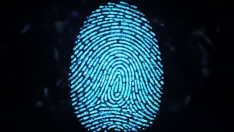 digital fingerprint technology provides unique identification solutions for enhancing security measures.