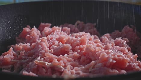 Ground-Turkey-Meat-Sprinkled-With-Salt-And-Spices-While-Cooking