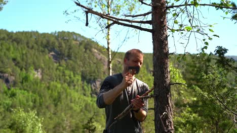 hombre usando hacha para recolectar ramas secas de pino para leña - clip estático en la naturaleza con un exuberante paisaje verde durante el día soleado de verano