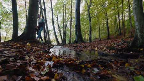 tall guy with cap and sweater walks by a water stream in gyllebo forest in autumn, south sweden skåne - static wide shot