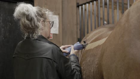 un disparo de cerca de un novio caucásico femenino, afeitando cuidadosamente la espalda de un caballo con un par de cortadoras en un establo