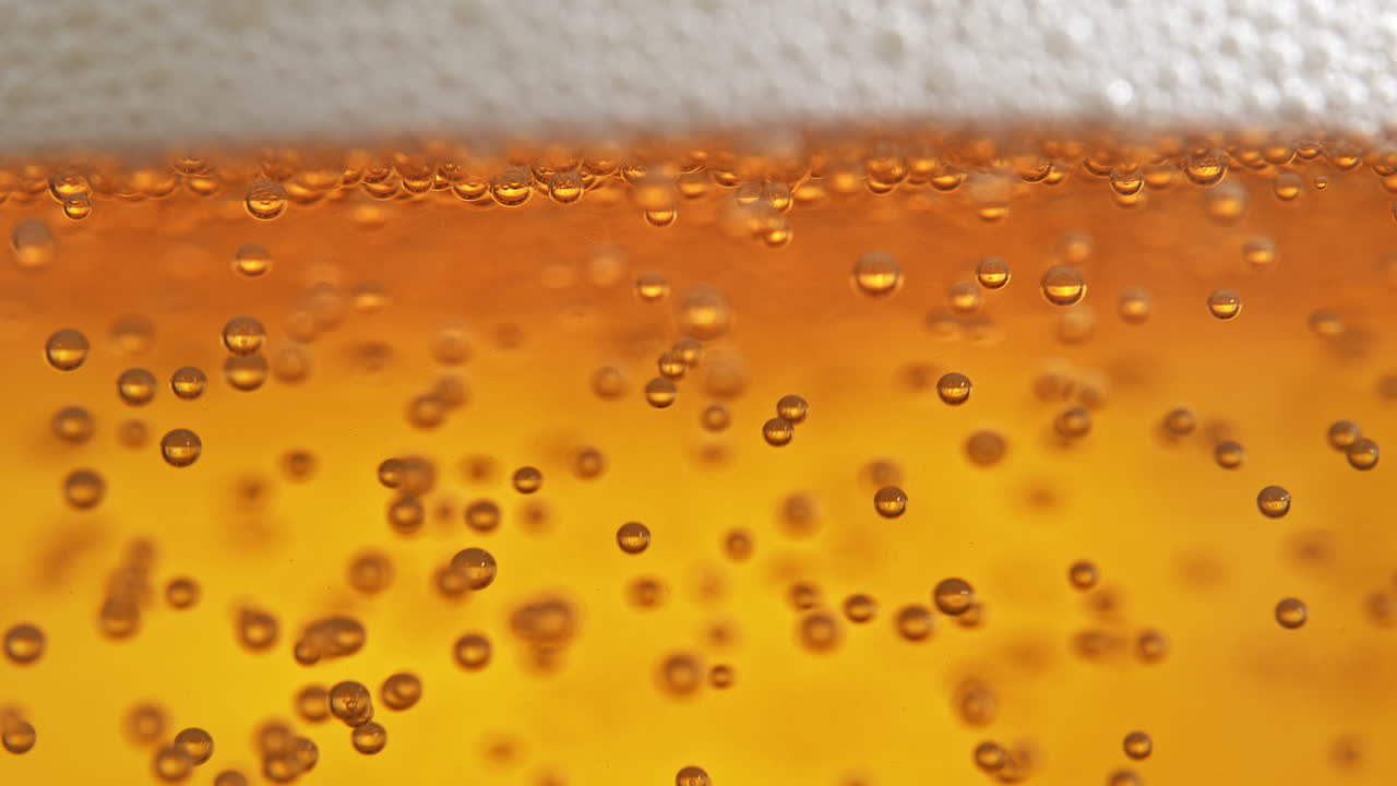burbujas que se elevan a la cabeza de la cerveza en macro y cámara lenta. vaso lleno de líquido carbonatado dorado y espuma espumosa en la parte superior