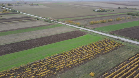 drone flies over empty rural countryside road in between brown - green farmlands