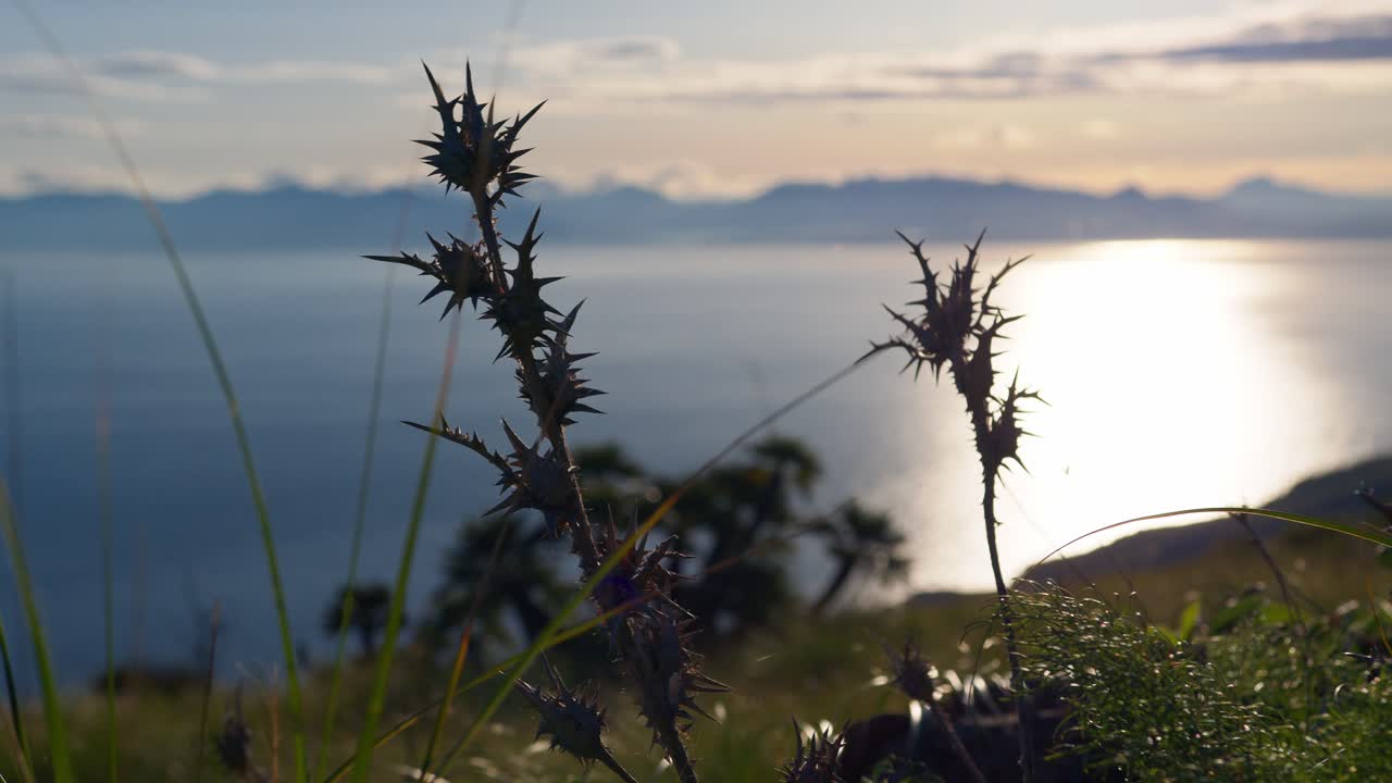 Lush plant life and coastal scenery captured at Monte Monaco in Sicily, Italy