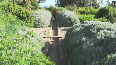 camino a través de jardines con productos cultivados en la asignación