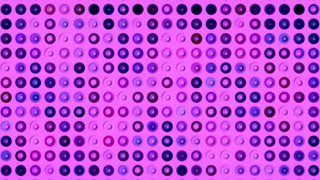 fondo abstracto colorido con ecualizador discoteca círculos animados, bucle sin costuras. movimiento. led escenario luces de concierto pared de color rosa brillante con círculos brillantes