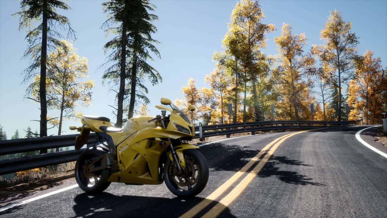 спортивный велосипед на дороге в лесу с солнечными лучами