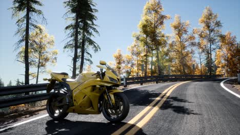 Sportbike-En-Tre-Road-En-El-Bosque-Con-Rayos-De-Sol