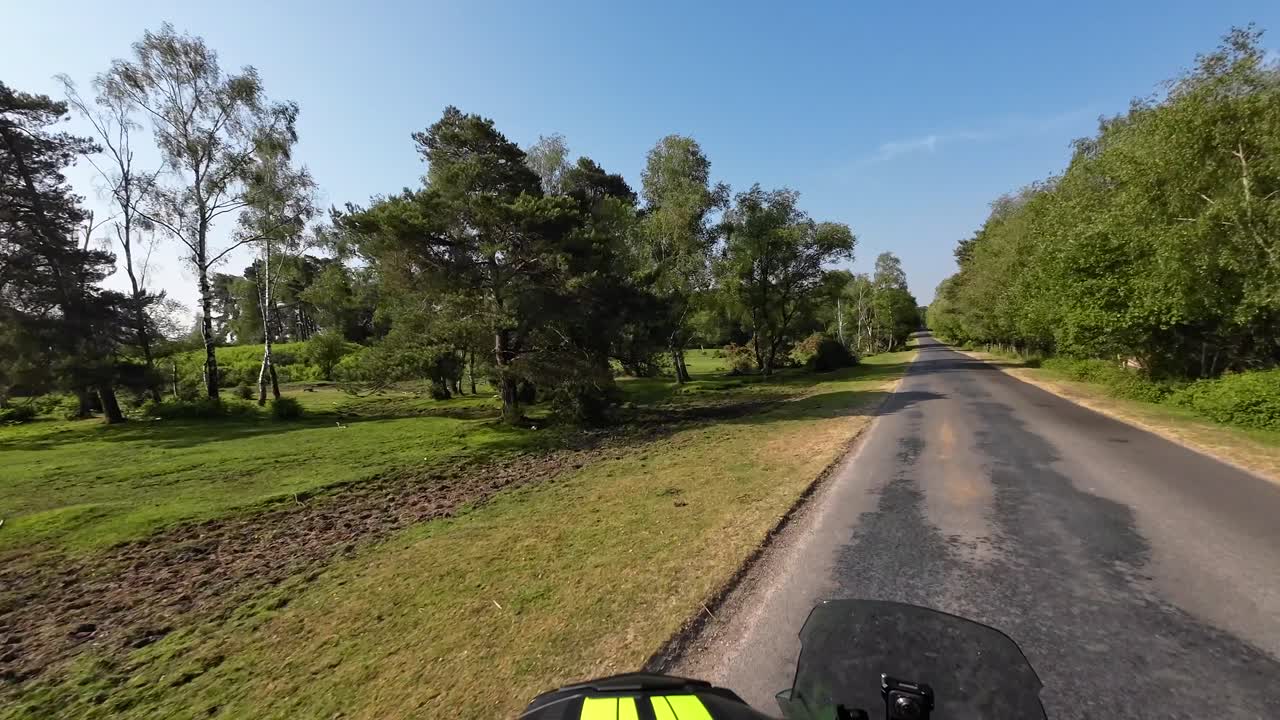 Rider's perspective cruising along peaceful road in New Forest on a sunny day