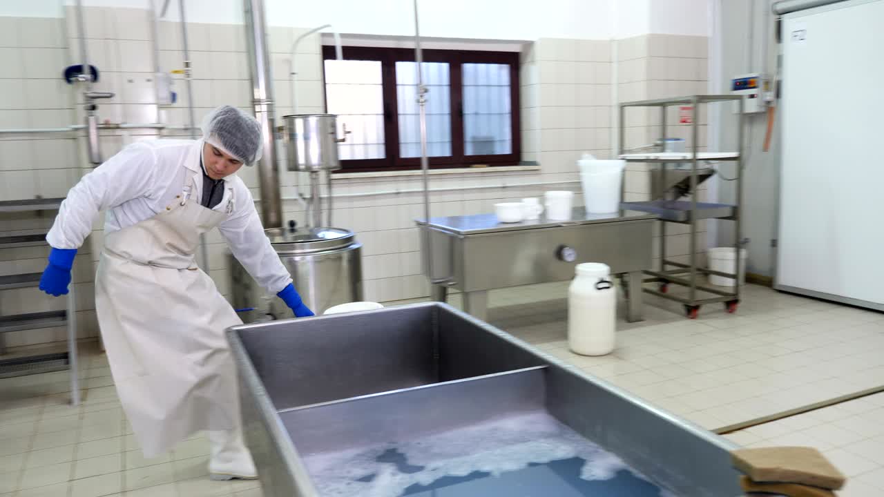 치즈 생산 - 유제품 치즈 공장