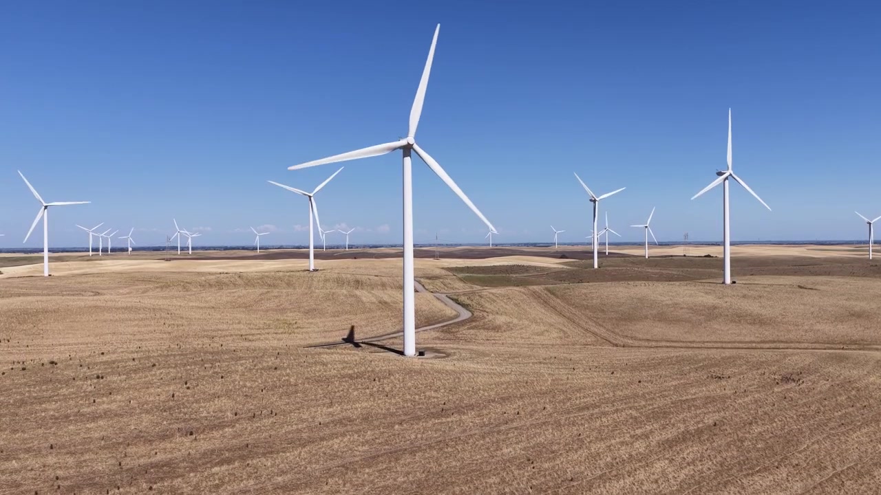Riprese aeree con drone che sorvola un grande parco eolico con turbine rotanti che producono energia pulita e rinnovabile in una giornata di sole nei campi dorati di Rio Vista, California.