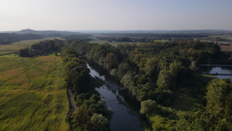 Fliegen-Sie-Auf-Dem-Fluss,-Umgeben-Von-Bäumen-Und-Stromleitungen,-Die-über-Den-Fluss-Führen