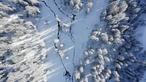 árboles-Congelados-Y-Canales-Afluentes-Naturales-De-Los-Ríos-En-El-Paisaje-Forestal-Invernal-Vista-De-Arriba-Hacia-Abajo